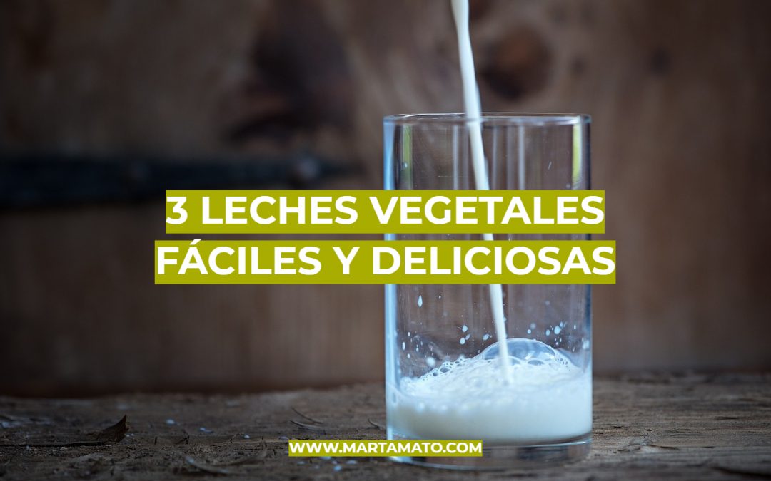 3 leches vegetales fáciles y deliciosas